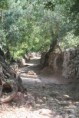 /album/queren%c3%a7a%20%26%20fonte%20benemola%20/activity-algarve-04-jpg2/